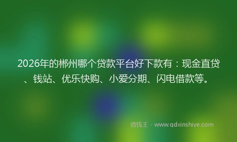 2026年的郴州哪个贷款平台好下款有：现金直贷、钱站、优乐快购、小爱分期、闪电借款等。