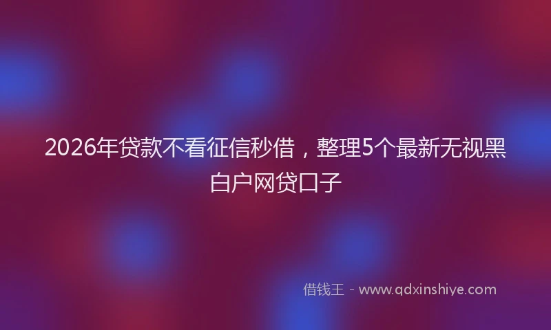 2026年贷款不看征信秒借，整理5个最新无视黑白户网贷口子