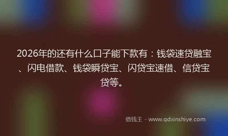 2026年的还有什么口子能下款有：钱袋速贷融宝、闪电借款、钱袋瞬贷宝、闪贷宝速借、信贷宝贷等。