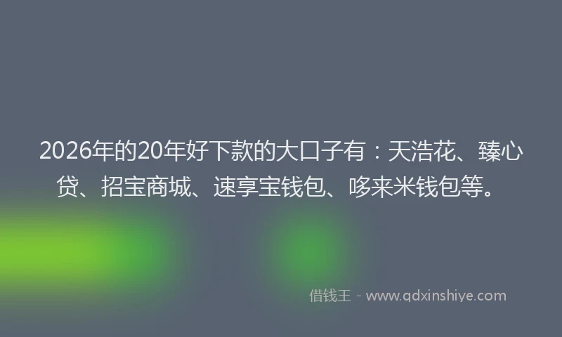 2026年的20年好下款的大口子有：天浩花、臻心贷、招宝商城、速享宝钱包、哆来米钱包等。