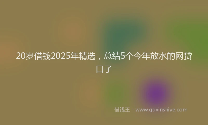 20岁借钱2025年精选，总结5个今年放水的网贷口子