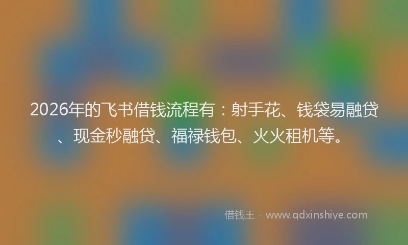 2026年的飞书借钱流程有：射手花、钱袋易融贷、现金秒融贷、福禄钱包、火火租机等。