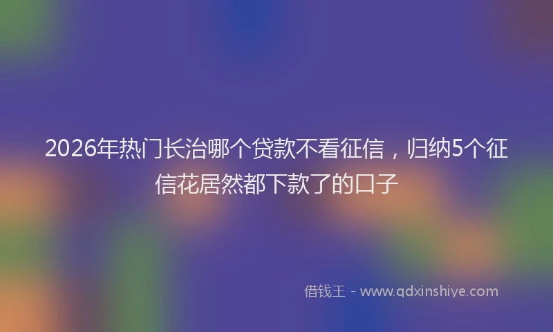 2026年热门长治哪个贷款不看征信，归纳5个征信花居然都下款了的口子