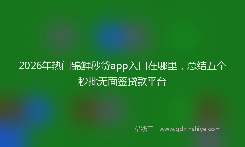 2026年热门锦鲤秒贷app入口在哪里，总结五个秒批无面签贷款平台