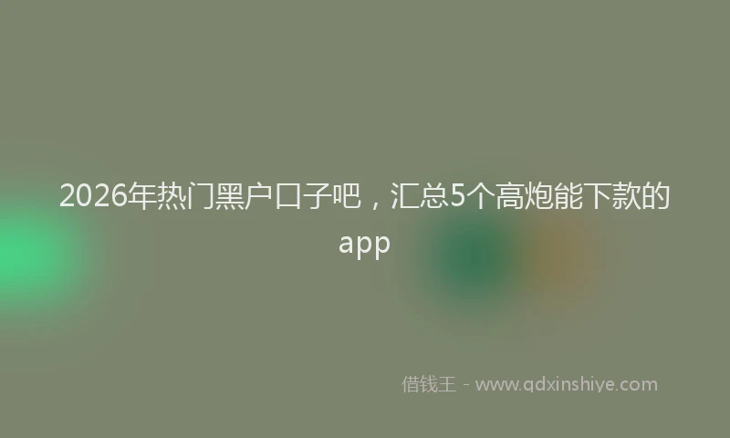 2026年热门黑户口子吧，汇总5个高炮能下款的app