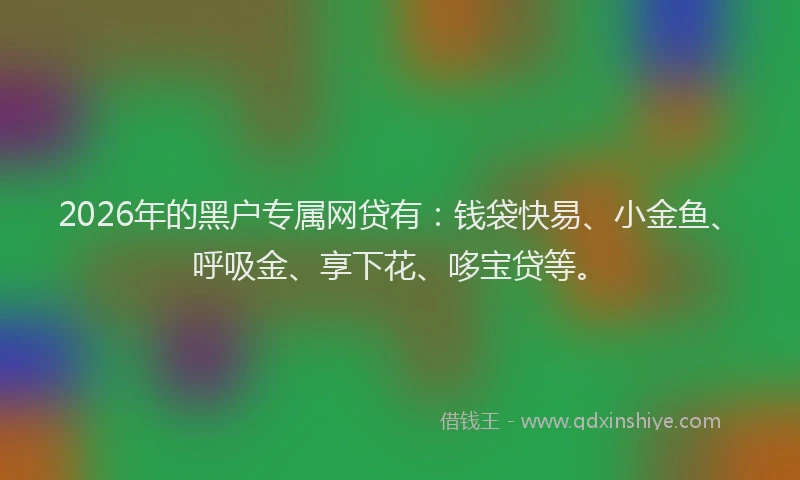 2026年的黑户专属网贷有：钱袋快易、小金鱼、呼吸金、享下花、哆宝贷等。