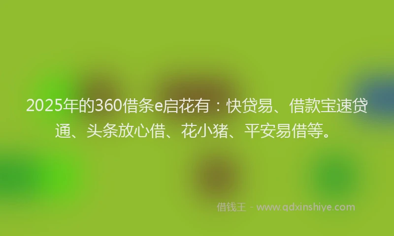 2025年的360借条e启花有：快贷易、借款宝速贷通、头条放心借、花小猪、平安易借等。