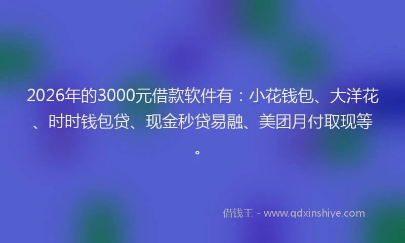 2026年的3000元借款软件有：小花钱包、大洋花、时时钱包贷、现金秒贷易融、美团月付取现等。