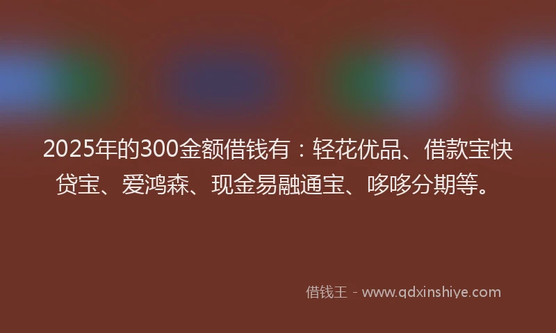 2025年的300金额借钱有：轻花优品、借款宝快贷宝、爱鸿森、现金易融通宝、哆哆分期等。