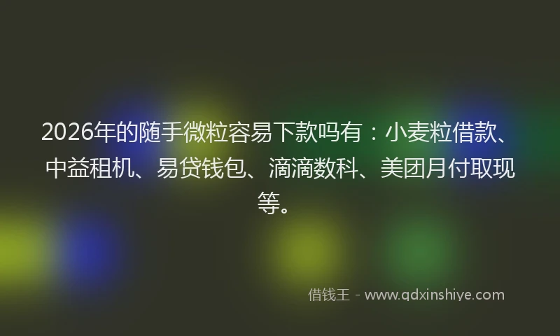 2026年的随手微粒容易下款吗有:小麦粒借款、中益租机、易贷钱包、滴滴数科、美团月付取现等。
