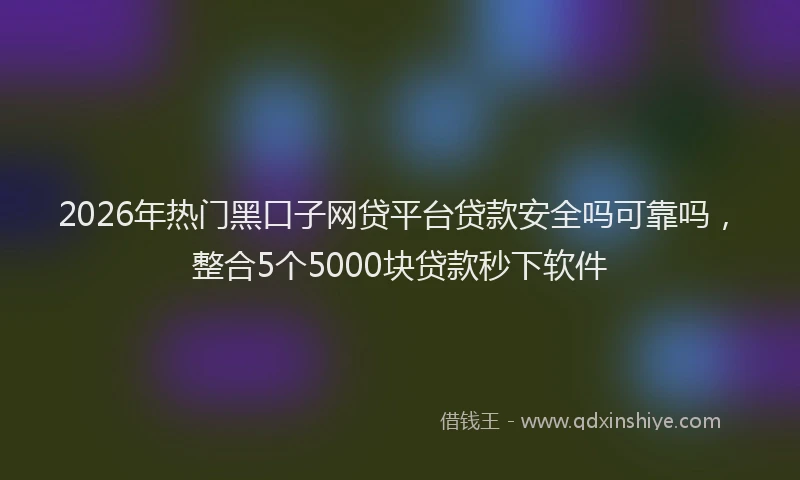 2026年热门黑口子网贷平台贷款安全吗可靠吗，整合5个5000块贷款秒下软件