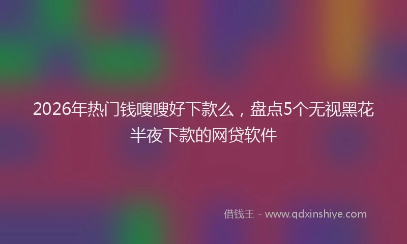 2026年热门钱嗖嗖好下款么，盘点5个无视黑花半夜下款的网贷软件