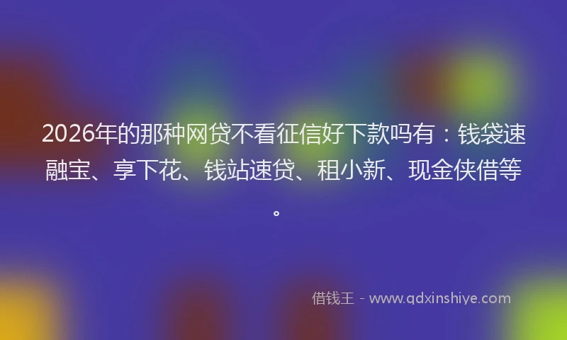 2026年的那种网贷不看征信好下款吗有：钱袋速融宝、享下花、钱站速贷、租小新、现金侠借等。