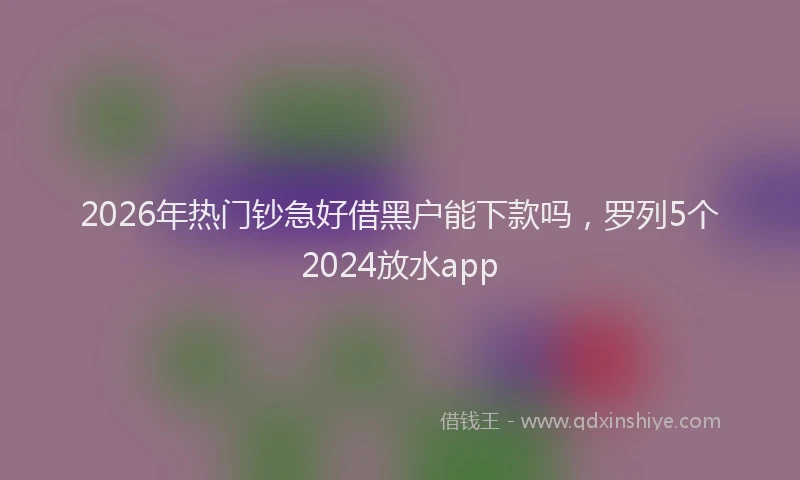 2026年热门钞急好借黑户能下款吗，罗列5个2024放水app