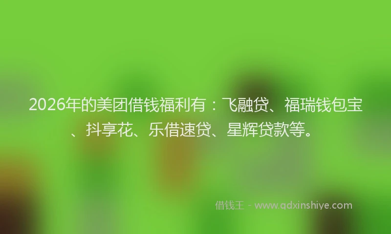 2026年的美团借钱福利有：飞融贷、福瑞钱包宝、抖享花、乐借速贷、星辉贷款等。
