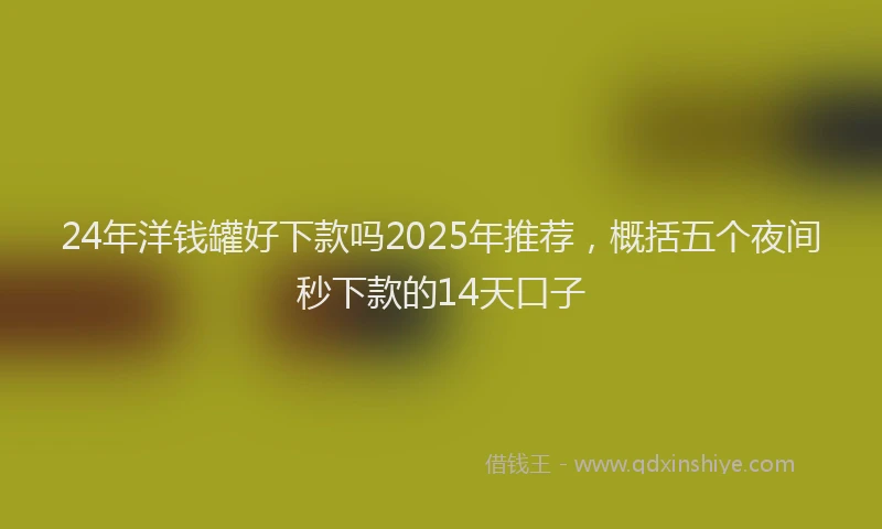 24年洋钱罐好下款吗2025年推荐，概括五个夜间秒下款的14天口子