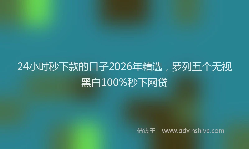 24小时秒下款的口子2026年精选,罗列五个无视黑白100%秒下网贷