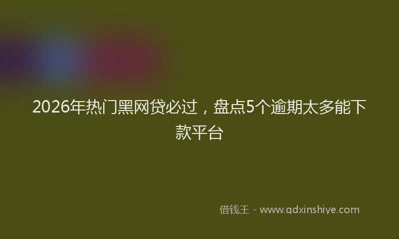 2026年热门黑网贷必过，盘点5个逾期太多能下款平台