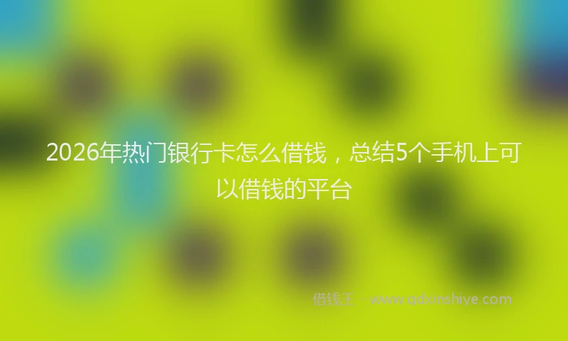 2026年热门银行卡怎么借钱，总结5个手机上可以借钱的平台