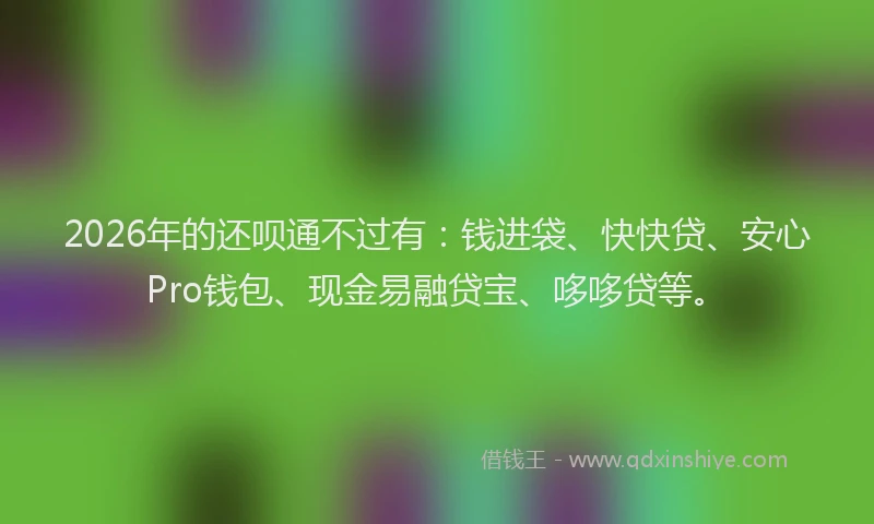 2026年的还呗通不过有:钱进袋、快快贷、安心Pro钱包、现金易融贷宝、哆哆贷等。