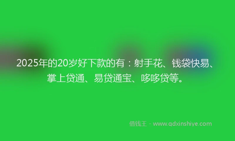 2025年的20岁好下款的有：射手花、钱袋快易、掌上贷通、易贷通宝、哆哆贷等。