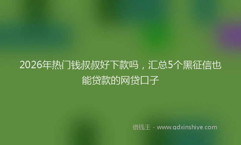 2026年热门钱叔叔好下款吗，汇总5个黑征信也能贷款的网贷口子