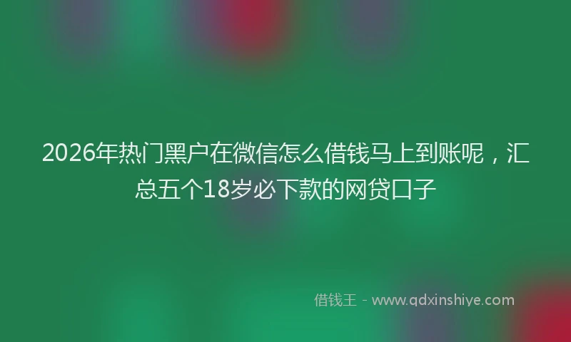 2026年热门黑户在微信怎么借钱马上到账呢，汇总五个18岁必下款的网贷口子