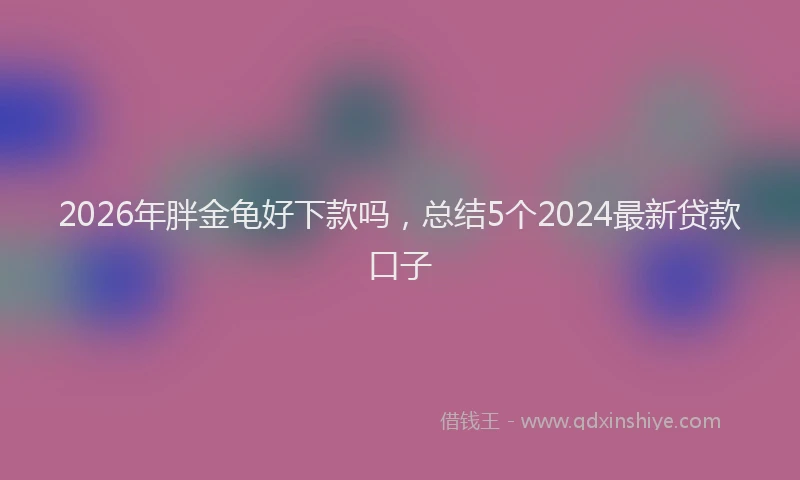 2026年胖金龟好下款吗，总结5个2024最新贷款口子