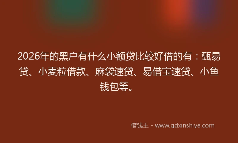 2026年的黑户有什么小额贷比较好借的有：甄易贷、小麦粒借款、麻袋速贷、易借宝速贷、小鱼钱包等。