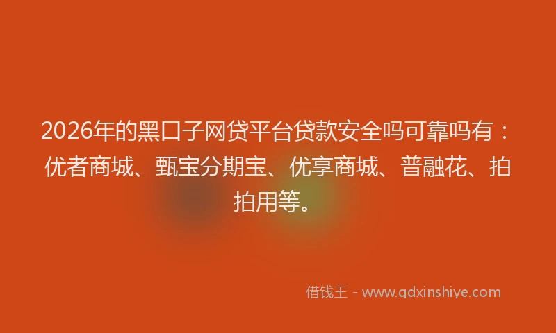 2026年的黑口子网贷平台贷款安全吗可靠吗有:优者商城、甄宝分期宝、优享商城、普融花、拍拍用等。