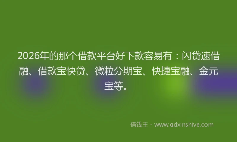 2026年的那个借款平台好下款容易有：闪贷速借融、借款宝快贷、微粒分期宝、快捷宝融、金元宝等。