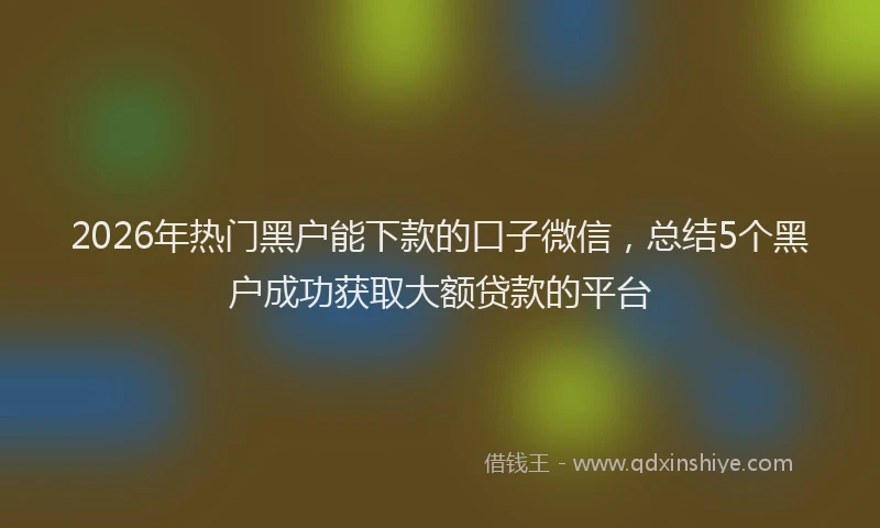 2026年热门黑户能下款的口子微信，总结5个黑户成功获取大额贷款的平台