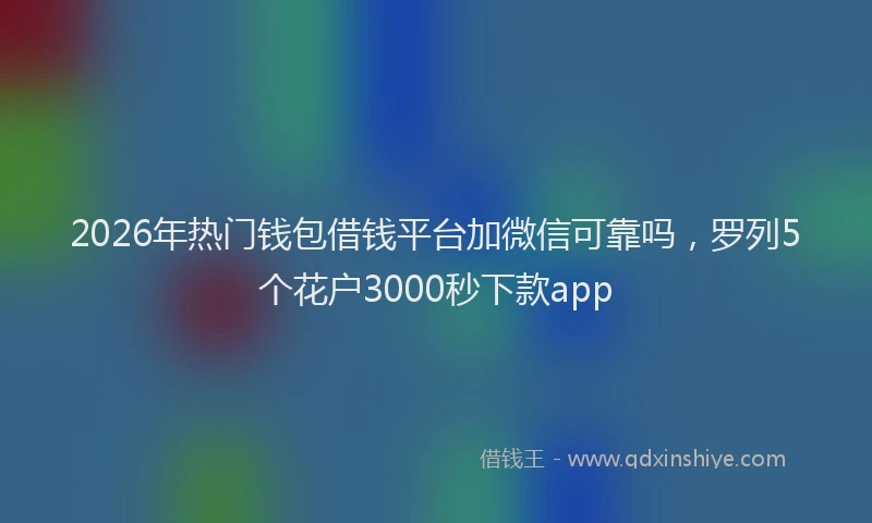 2026年热门钱包借钱平台加微信可靠吗，罗列5个花户3000秒下款app