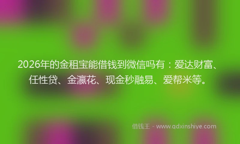 2026年的金租宝能借钱到微信吗有:爱达财富、任性贷、金瀛花、现金秒融易、爱帮米等。