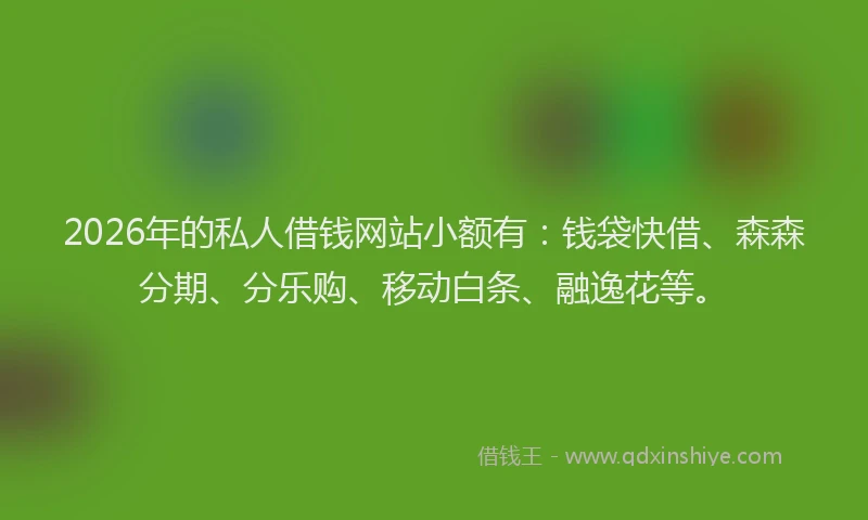 2026年的私人借钱网站小额有：钱袋快借、森森分期、分乐购、移动白条、融逸花等。