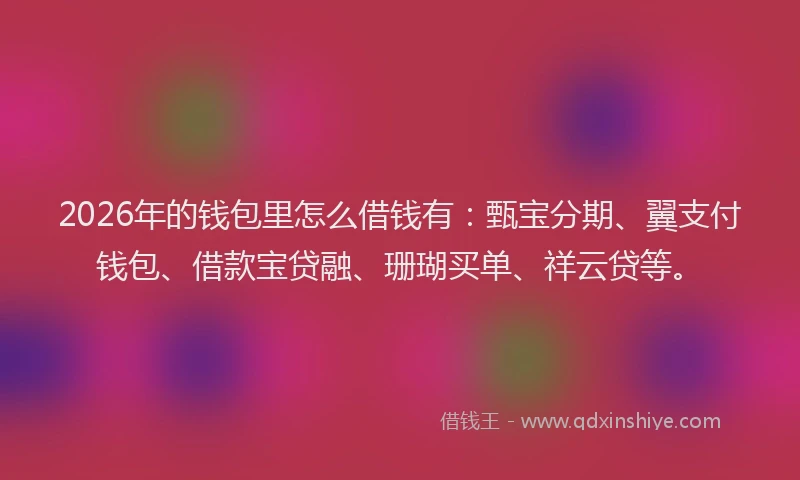 2026年的钱包里怎么借钱有:甄宝分期、翼支付钱包、借款宝贷融、珊瑚买单、祥云贷等。