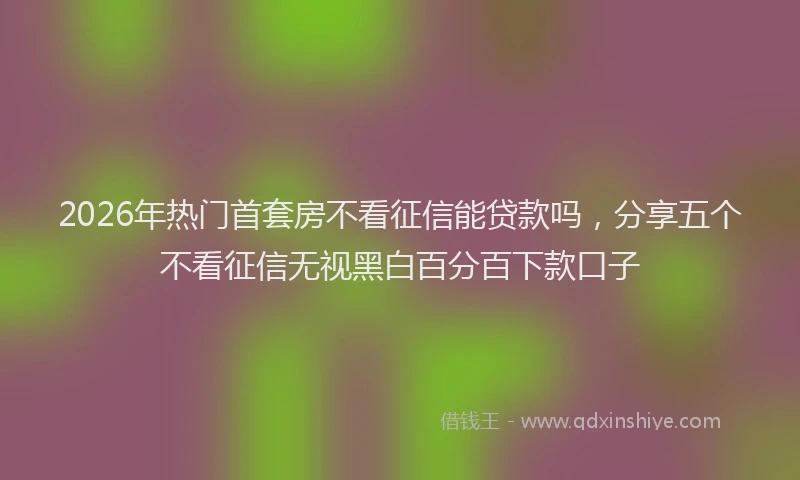 2026年热门首套房不看征信能贷款吗，分享五个不看征信无视黑白百分百下款口子