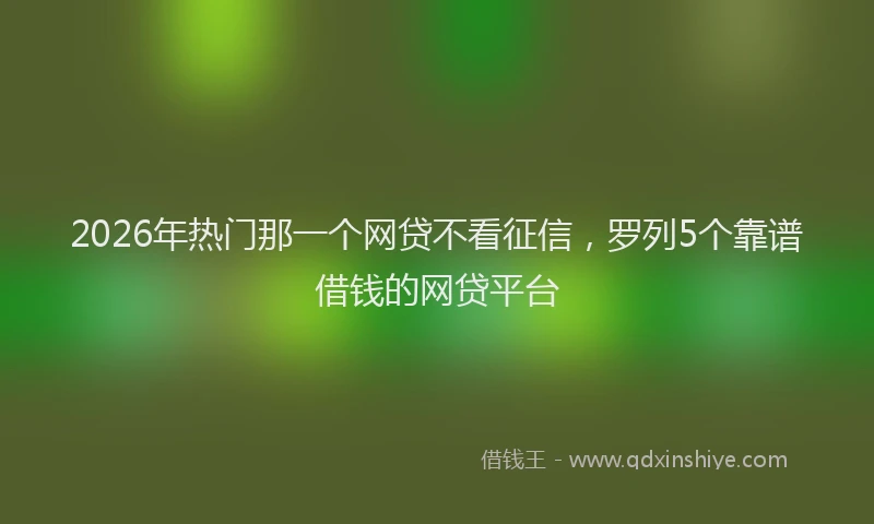2026年热门那一个网贷不看征信，罗列5个靠谱借钱的网贷平台