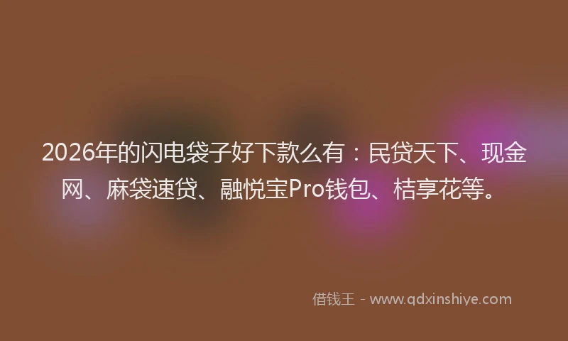 2026年的闪电袋子好下款么有：民贷天下、现金网、麻袋速贷、融悦宝Pro钱包、桔享花等。