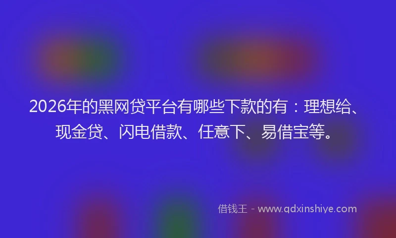 2026年的黑网贷平台有哪些下款的有：理想给、现金贷、闪电借款、任意下、易借宝等。