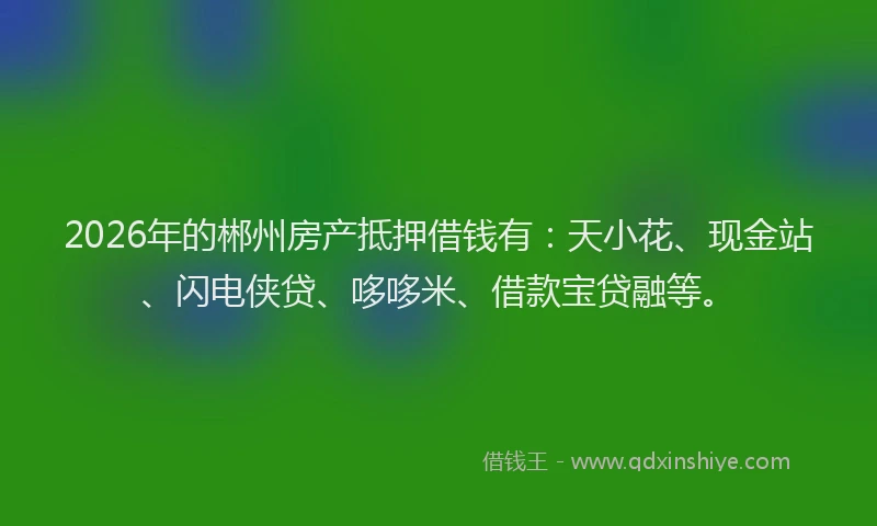 2026年的郴州房产抵押借钱有：天小花、现金站、闪电侠贷、哆哆米、借款宝贷融等。