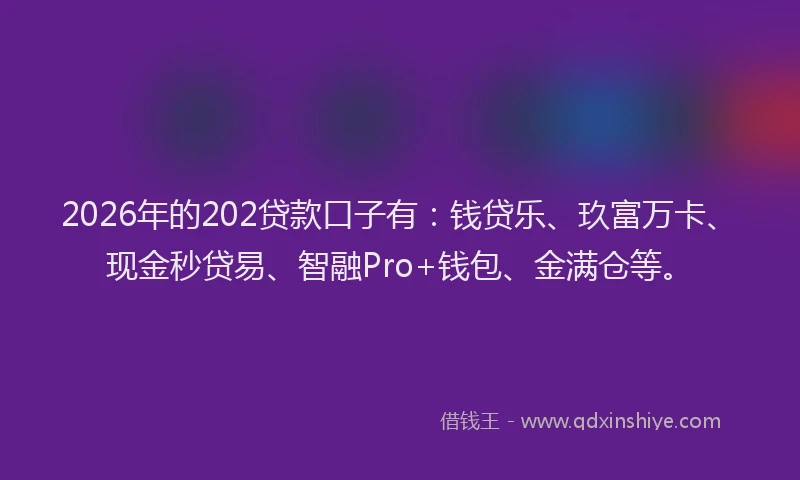 2026年的202贷款口子有：钱贷乐、玖富万卡、现金秒贷易、智融Pro+钱包、金满仓等。