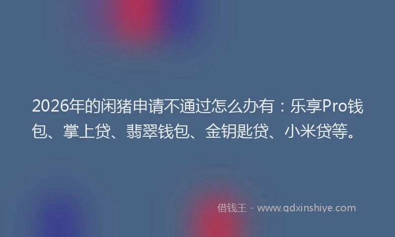2026年的闲猪申请不通过怎么办有：乐享Pro钱包、掌上贷、翡翠钱包、金钥匙贷、小米贷等。