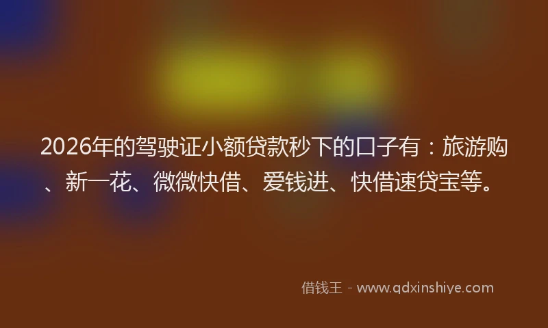 2026年的驾驶证小额贷款秒下的口子有：旅游购、新一花、微微快借、爱钱进、快借速贷宝等。