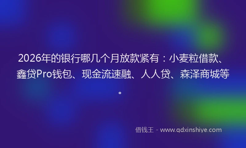 2026年的银行哪几个月放款紧有：小麦粒借款、鑫贷Pro钱包、现金流速融、人人贷、森泽商城等。