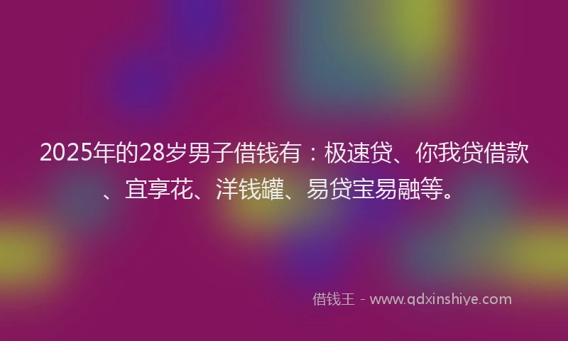 2025年的28岁男子借钱有：极速贷、你我贷借款、宜享花、洋钱罐、易贷宝易融等。