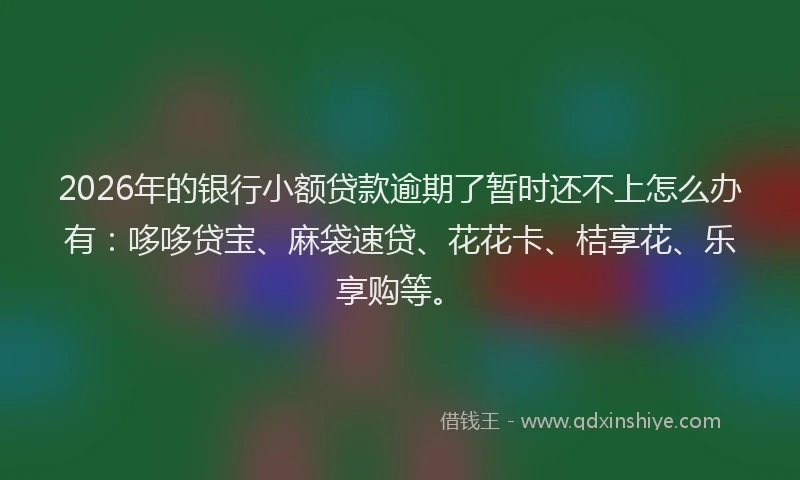 2026年的银行小额贷款逾期了暂时还不上怎么办有：哆哆贷宝、麻袋速贷、花花卡、桔享花、乐享购等。