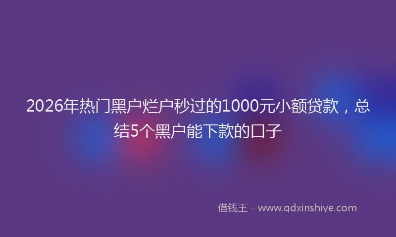 2026年热门黑户烂户秒过的1000元小额贷款，总结5个黑户能下款的口子