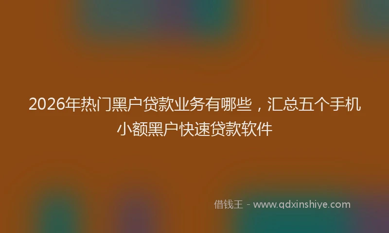 2026年热门黑户贷款业务有哪些，汇总五个手机小额黑户快速贷款软件