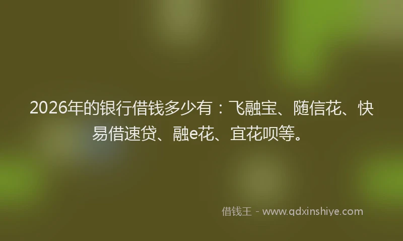 2026年的银行借钱多少有：飞融宝、随信花、快易借速贷、融e花、宜花呗等。